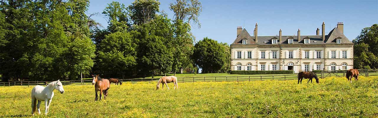 Voyage à cheval - Randonnée équestre organisée par Randocheval