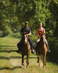 Charming weekend on horseback with Castle accommodation - Randocheval - Ride in France