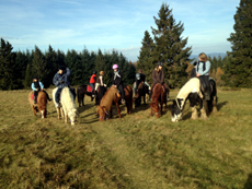 horseback trail in alsace