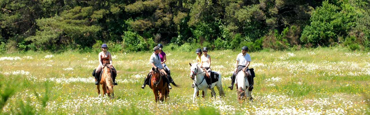 Voyage à cheval - Randonnée équestre organisée par Randocheval