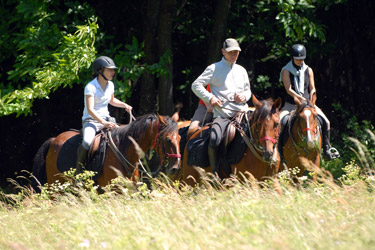 Horse Riding holidays in France