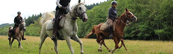 Endurance Horseback riding in Burgundy and Lozere - Tonic equestrian  holidays in France - RIDE IN FRANCE