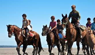 Horseback rides in Mont Saint Michel Bay (St Michael's Mount) between Brittany and Normandy - Ride in France