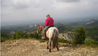 Horseback holidays and wine tasting rides in Provence - Ride in France