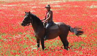 Horseback rides in Provence - Ride in France