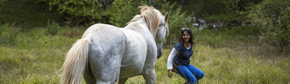 RIDE IN FRANCE - Stay in a castle in Allier