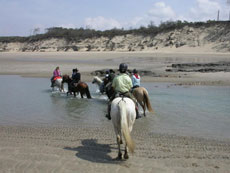 Horse riding tours in Loire Valley, famous for its Renaissance castles and chateaux - Ride in France